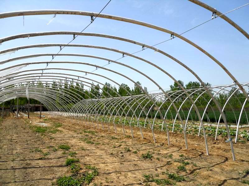 山東大棚 農業現代化的典范與安陽市佳和農業的啟示