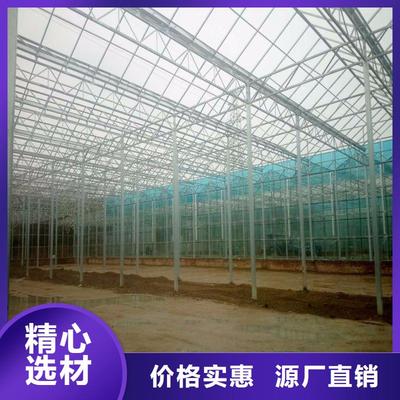 綠意守護者 鄭州本土蔬菜溫室大棚的品質與信譽