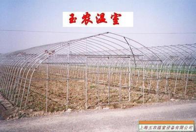 溫室大棚中的鍍鋅鋼管解決方案 推動低成本高效農作物貿易發展