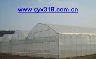 SYX319三農溫室大棚配套產品 一站式解決方案構建高效農業新生態